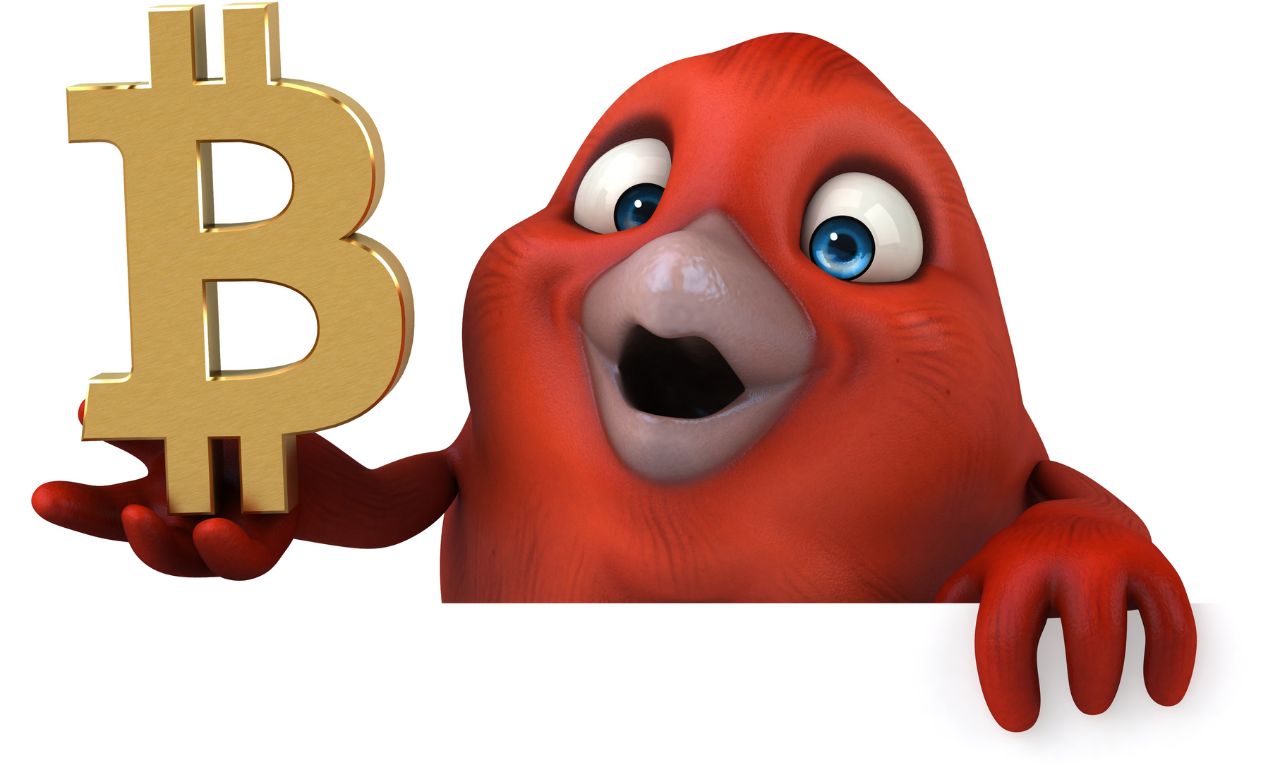 gocryptobet.com